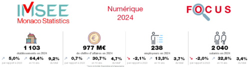 Focus numérique 2024