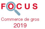 Couverture Focus Commerce de gros 2019