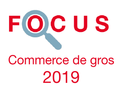 Couverture Focus Commerce de gros 2019 Couverture Focus Commerce de gros 2019