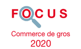 Couverture Focus Commerce de gros 2020