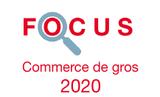 Couverture Focus Commerce de gros 2020 Couverture Focus Commerce de gros 2020