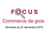 Couverture Focus Commerce de gros 2013