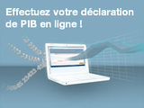 Téléservice PIB FR